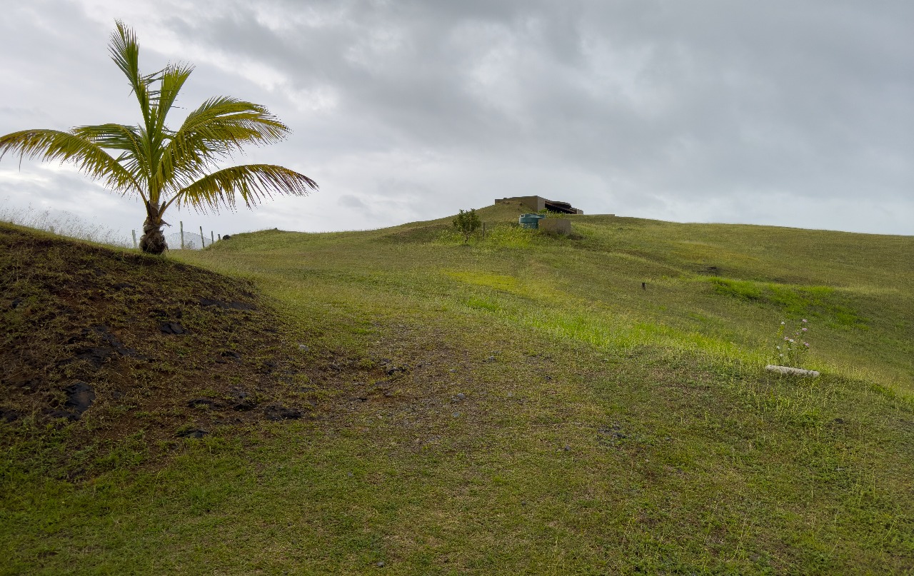 Coral Coast Highlights Tour – Momi, Sigatoka & Kula Eco Park image 3
